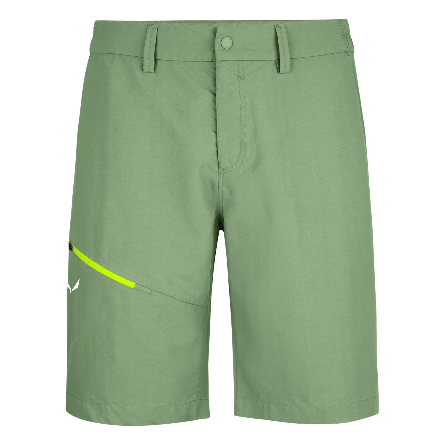 Salewa Men's Iseo Dry Shorts Green WMY-745389